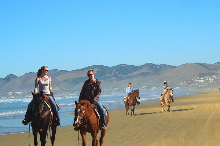Private Redwoods Tour & Horseback Riding Experience  - Photo 1 of 25